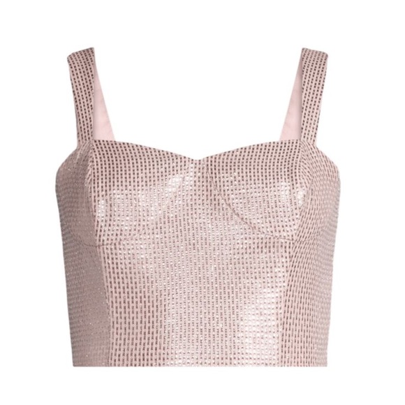 Ramy Brook Raquel Metallic Bustier in Pale Pink Size 10 - Picture 1 of 11